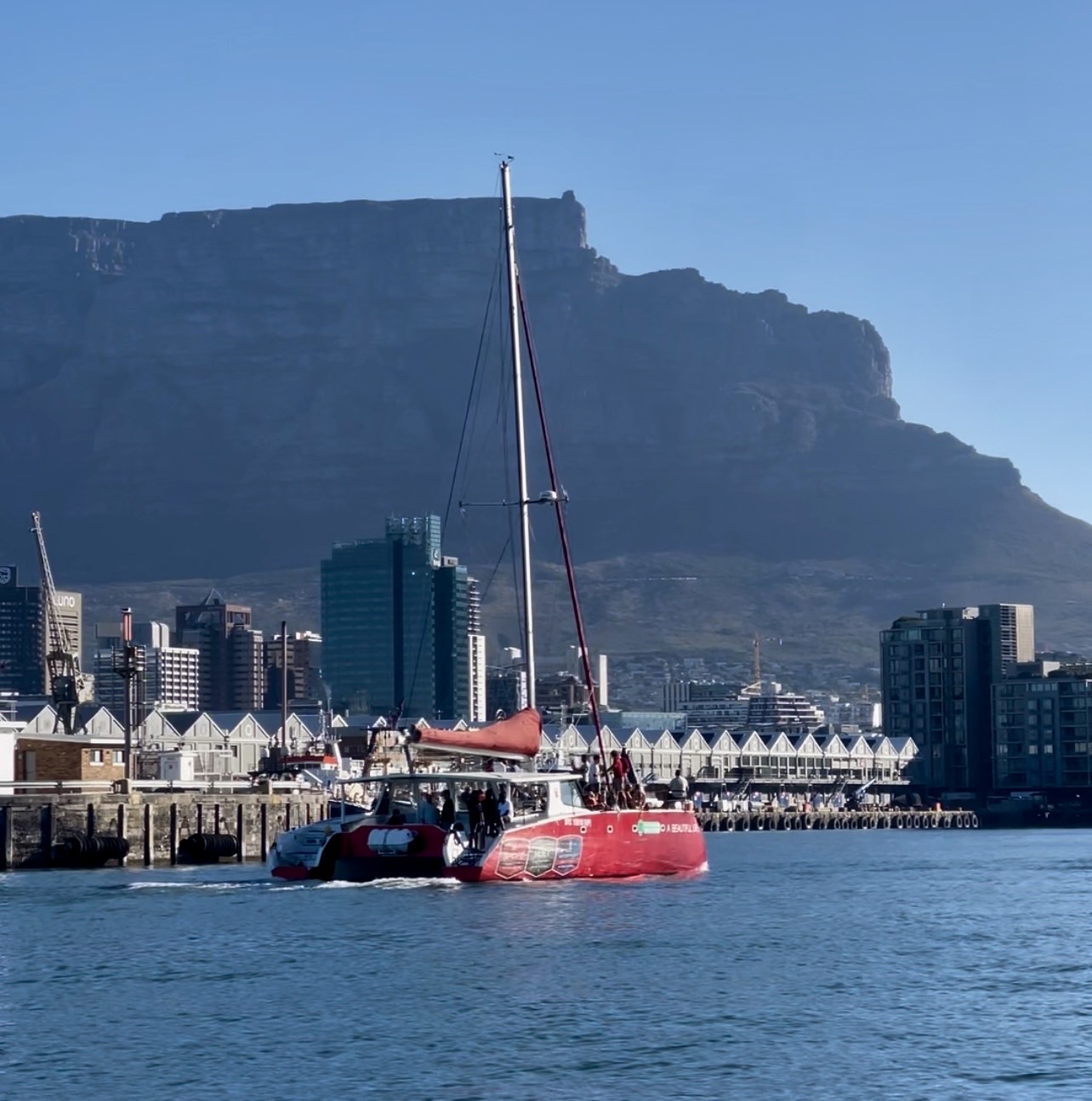 Harbour Cruise on the City and Table Mountain Tour