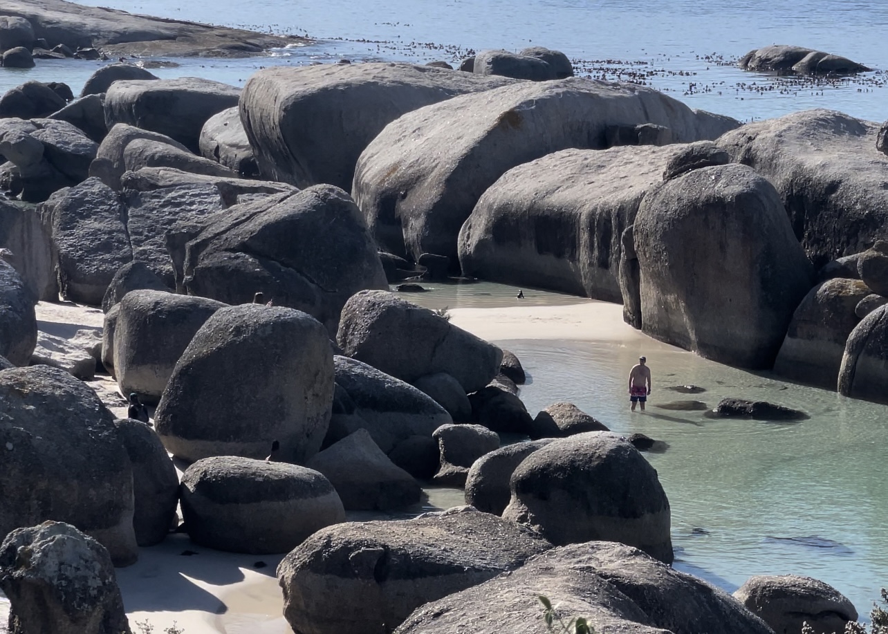 Boulders Beach on the Cape Peninsula Private Tour