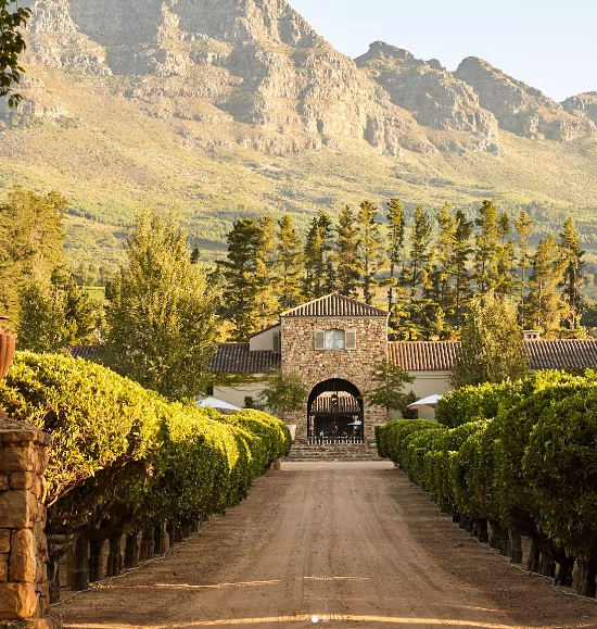 Waterford Estate on the Cape Winelands Private Tour | Stellenbosch & Franschhoek